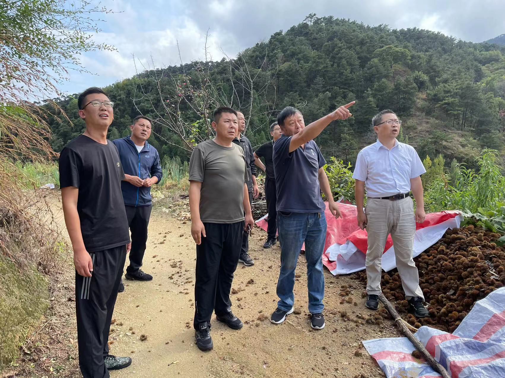 人妻系列无码专区69影院